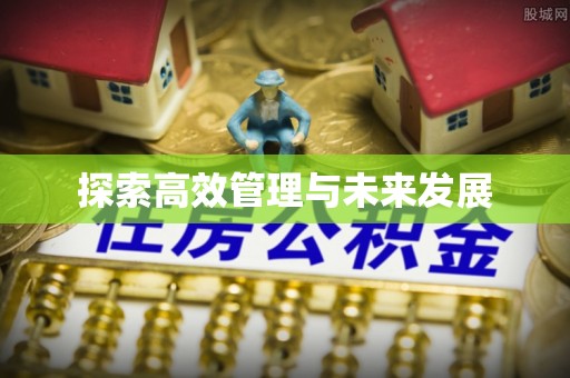 淮南探索高效管理与未来发展