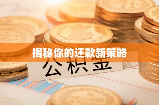 淮南揭秘你的还款新策略
