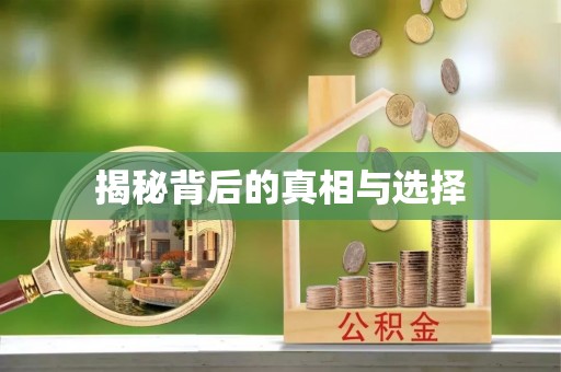 淮南揭秘背后的真相与选择