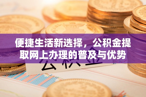 淮南便捷生活新选择，公积金提取网上办理的普及与优势