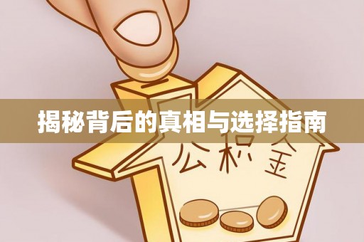 淮南揭秘背后的真相与选择指南
