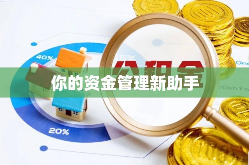 淮南你的资金管理新助手