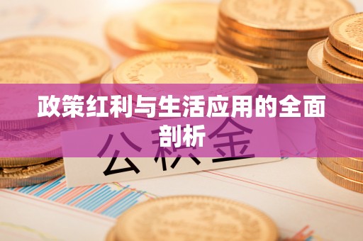 淮南政策红利与生活应用的全面剖析