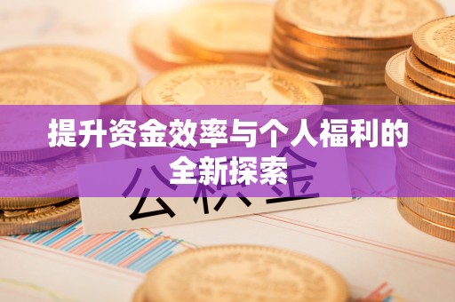 淮南提升资金效率与个人福利的全新探索