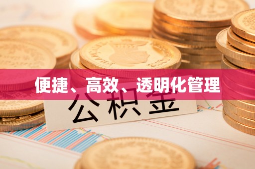 淮南便捷、高效、透明化管理