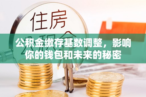 淮南公积金缴存基数调整，影响你的钱包和未来的秘密