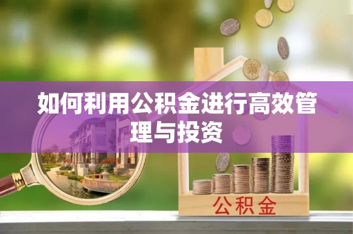 淮南如何利用公积金进行高效管理与投资
