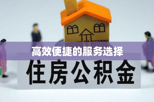 淮南高效便捷的服务选择