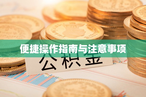 淮南便捷操作指南与注意事项